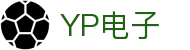 YP电子集团股份有限公司